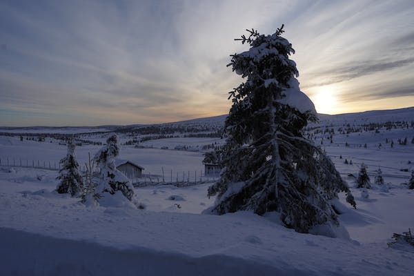 Mesures de prévention liées au froid : obligations des employeurs